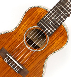 세광 기타렐레(SGL-210)
